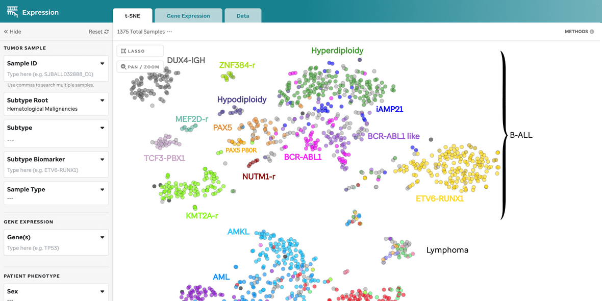 expression t sne initial screen