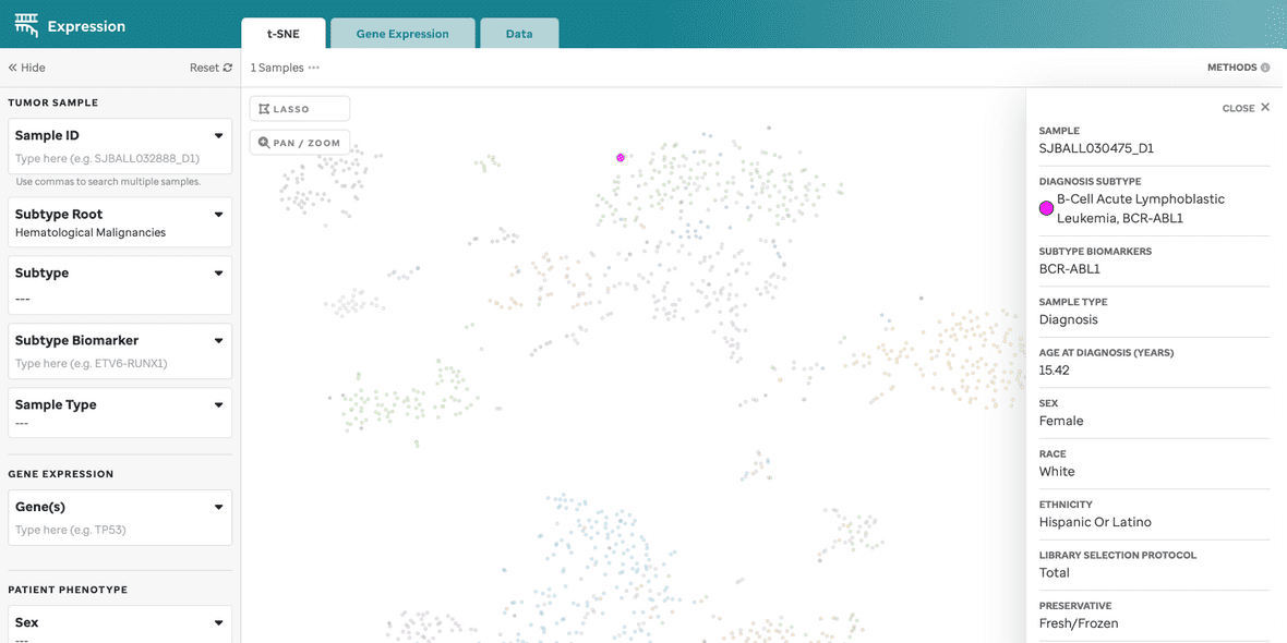 expression t sne sample view